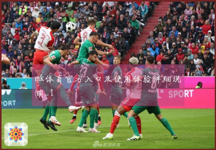 mk体育官方入口及使用体验详细说明_1