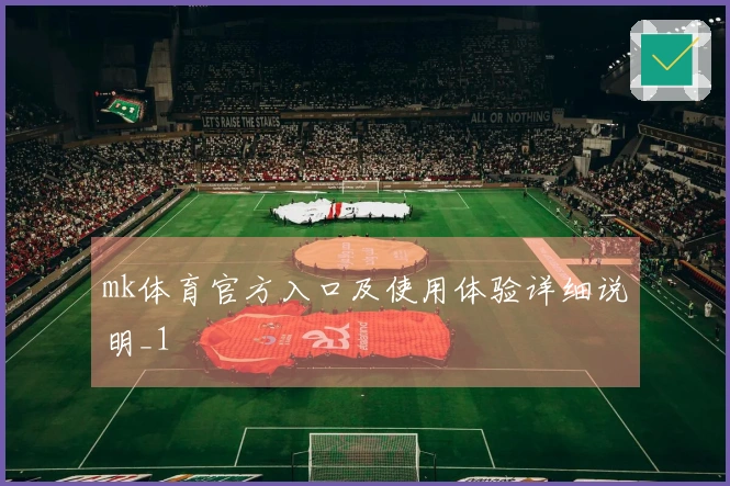 mk体育官方入口及使用体验详细说明_1