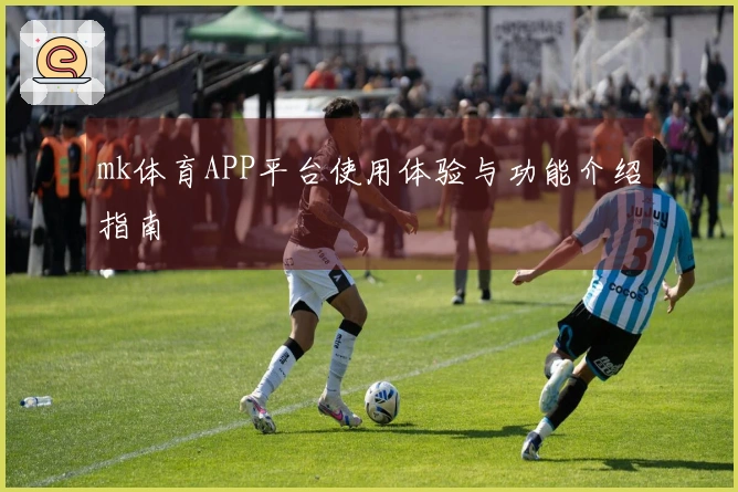 mk体育APP平台使用体验与功能介绍指南