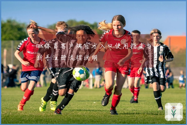 mk体育客户端官方入口使用指南与新手注册流程说明